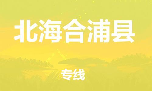 新丰县到北海合浦县危险品物流-新丰县到北海合浦县危险品运输专线-涂料树脂专业货运欢迎访问