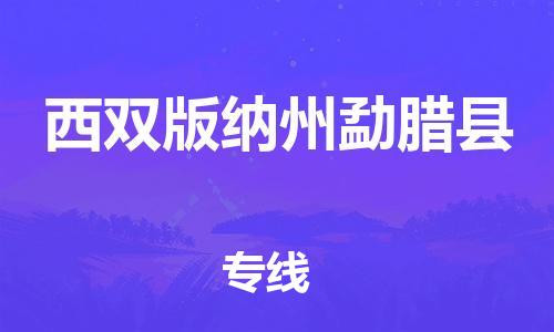 新丰县到西双版纳州勐腊县危险品物流-新丰县到西双版纳州勐腊县危险品运输专线-涂料树脂专业货运欢迎访问